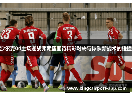 沙尔克04主场迎战弗赖堡期待精彩对决与球队新战术的碰撞